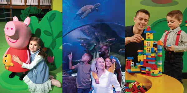 Kids Play Pass 3 Attractions