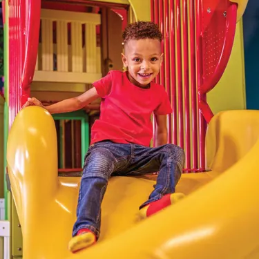 Treehouse Slide 1 1